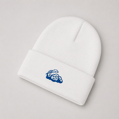 Storm Embroidered Beanie